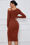 Brown Cold Shoulder dress